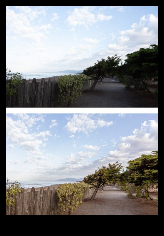 أنماط تحرير التصوير الفوتوغرافي التي يمكنك صنعها بنفسك: عتيقة وحديثة والمزيد