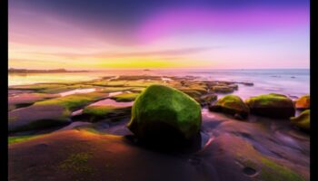 أنماط تحرير التصوير الفوتوغرافي التي يمكنك صنعها بنفسك: عتيقة وحديثة والمزيد