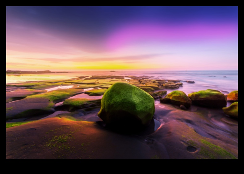 أنماط تحرير التصوير الفوتوغرافي التي يمكنك صنعها بنفسك: عتيقة وحديثة والمزيد