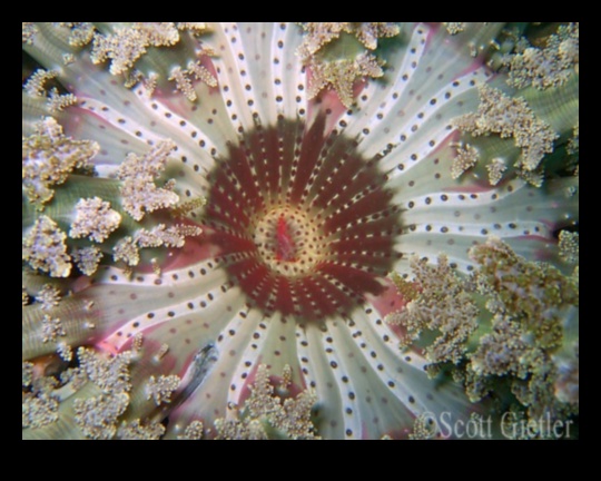 إطار تلو الآخر: تم الكشف عن البرامج التعليمية المتعمقة للتكوين