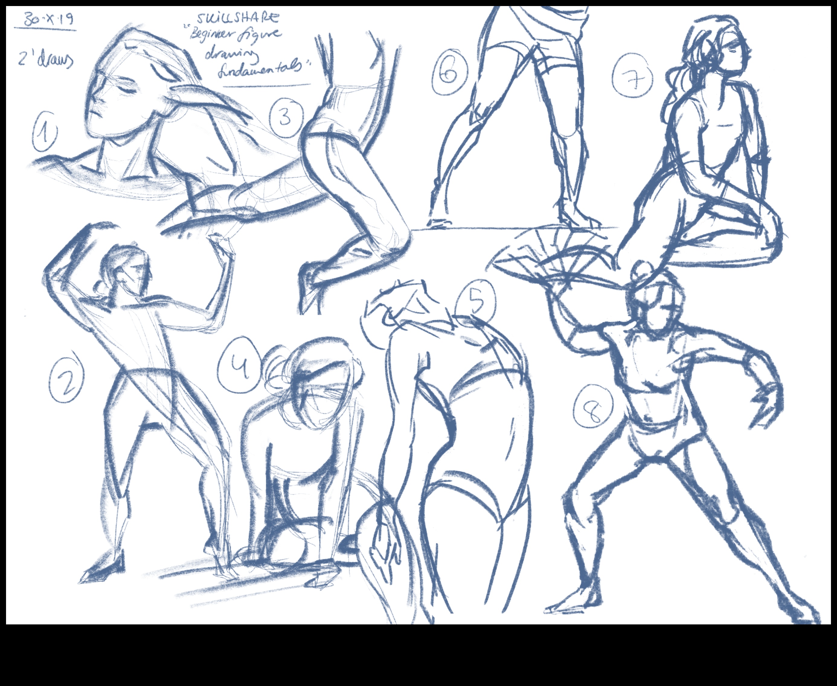 أساسيات رسم الأشكال: دليل المبتدئين