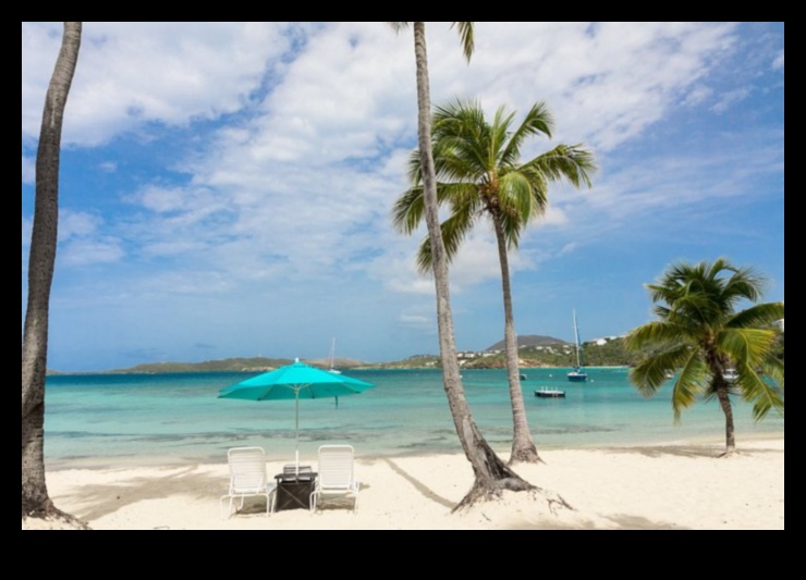 المرفأ المخفي: التنقل في شواطئ مناطق الجذب المحلية