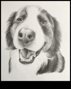 ظلال الجرافيت: إتقان لعب الضوء والظلام في قلم الرصاص