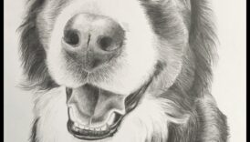 ظلال الجرافيت: إتقان لعب الضوء والظلام في قلم الرصاص