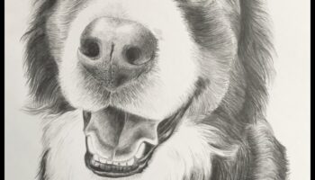 ظلال الجرافيت: إتقان لعب الضوء والظلام في قلم الرصاص