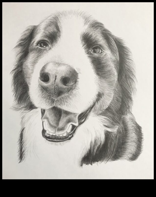 ظلال الجرافيت: إتقان لعب الضوء والظلام في قلم الرصاص