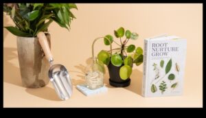 هدايا DIY لمحبي النباتات: هدايا ذات طابع أخضر