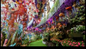 خيال الأزهار: إكسسوارات يمكنك صنعها بنفسك باستخدام زهور قماشية مصنوعة يدويًا