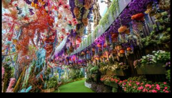 خيال الأزهار: إكسسوارات يمكنك صنعها بنفسك باستخدام زهور قماشية مصنوعة يدويًا