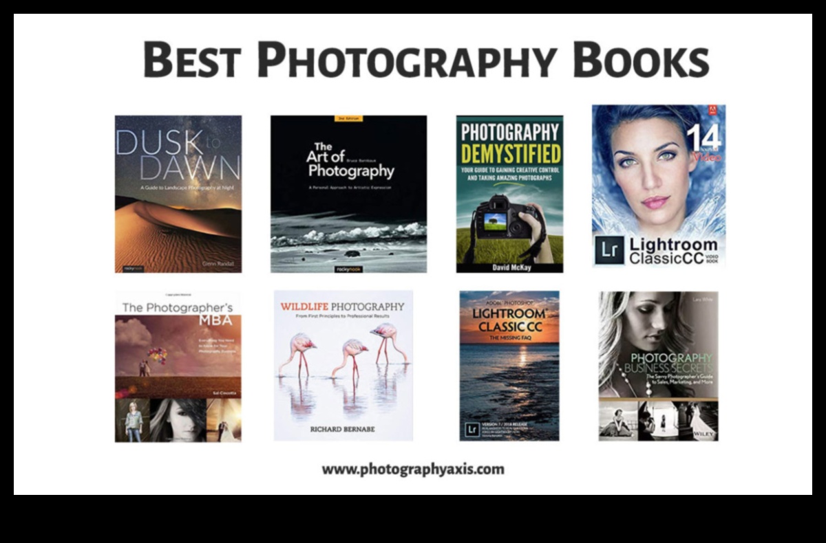 Shutter Savvy: إتقان فن التصوير الفوتوغرافي من خلال التعليم