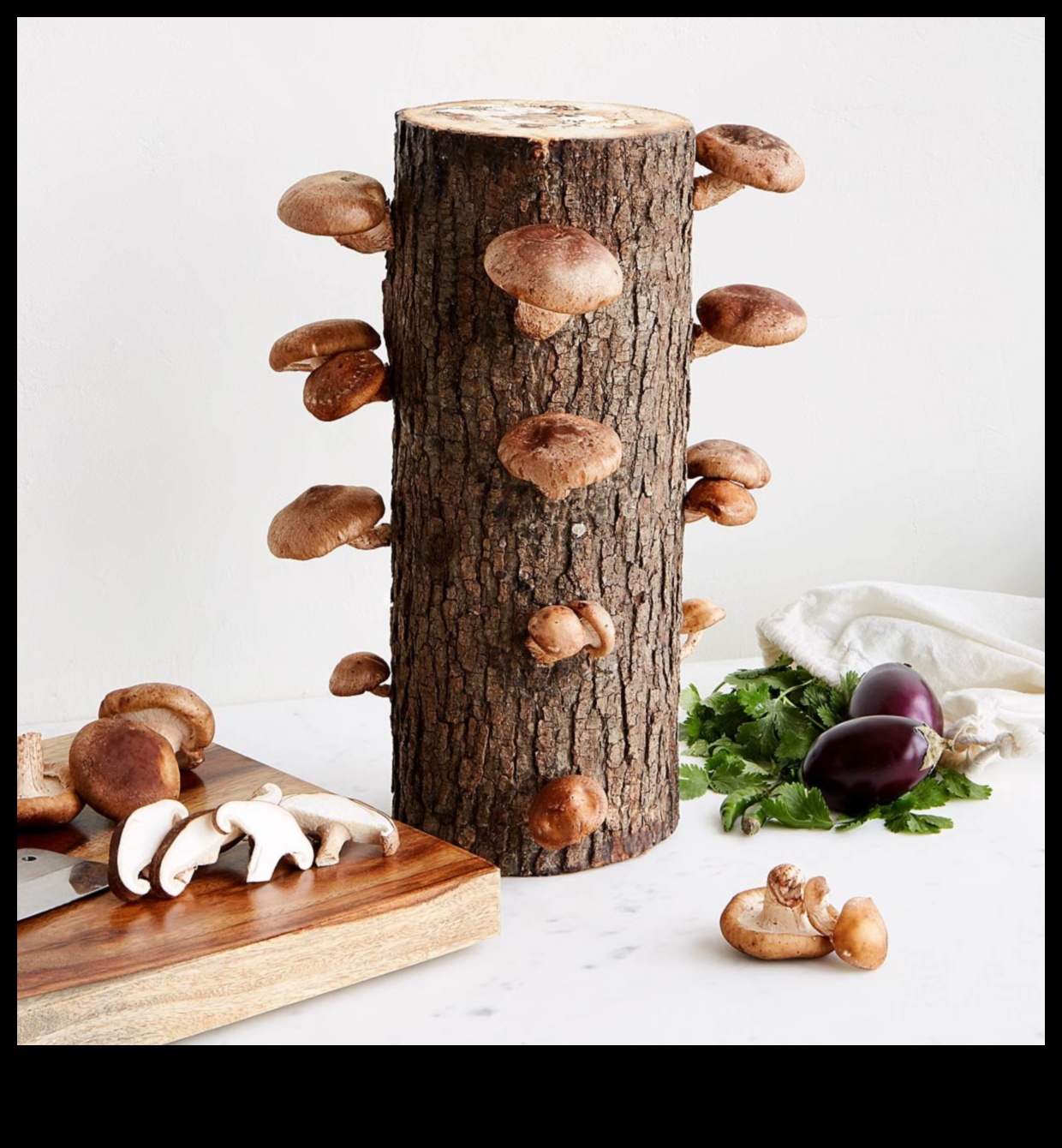 هدايا الطهي التي تصنعها بنفسك: هدايا مصنوعة يدويًا لكل مناسبة