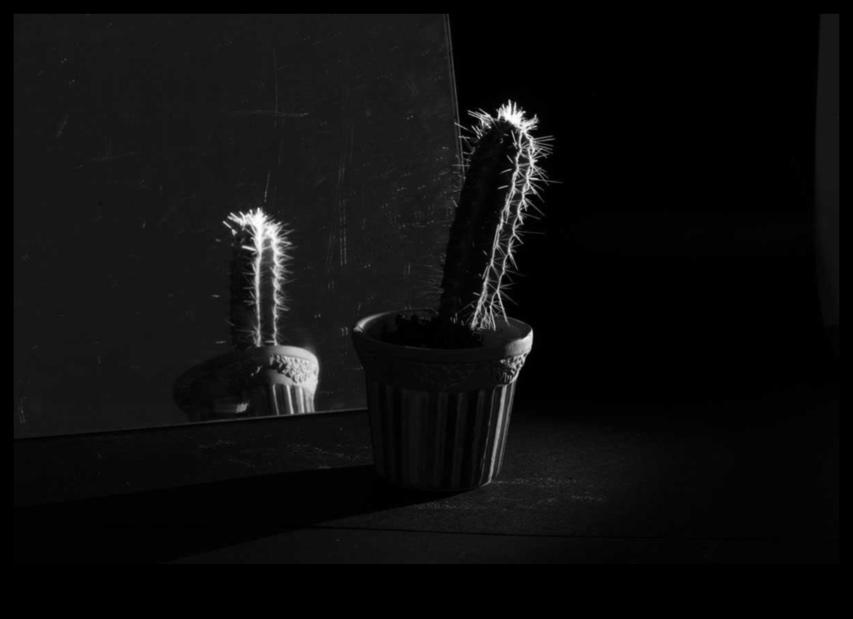 الضوء والظلال: اللعب بالتباين في الحياة الساكنة