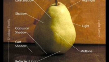 الضوء والظلال: اللعب بالتباين في الحياة الساكنة